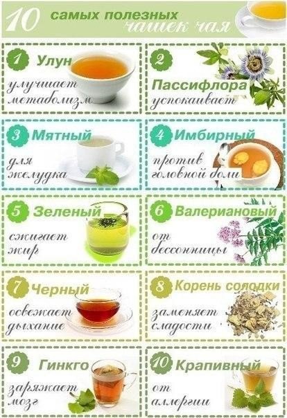 10 самых полезных чашек чая
