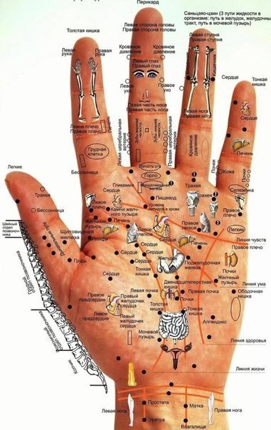 Болезни человека — на его руках будь внимателен — меньше будешь болеть!