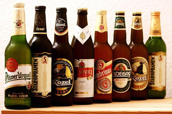 7 фактов о вреде пива